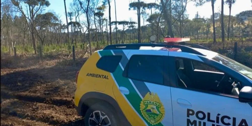 A Polícia Militar Ambiental foi acionada e realizou a verificação