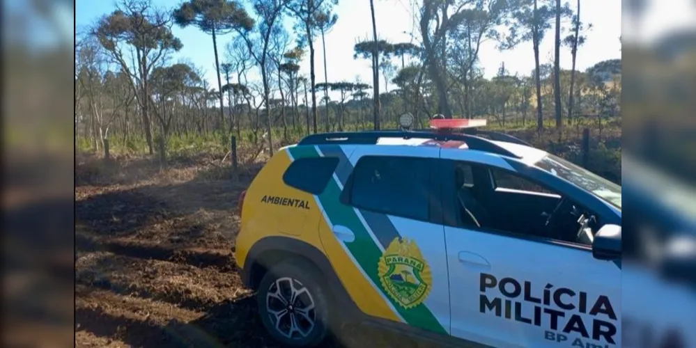 A Polícia Militar Ambiental foi acionada e realizou a verificação