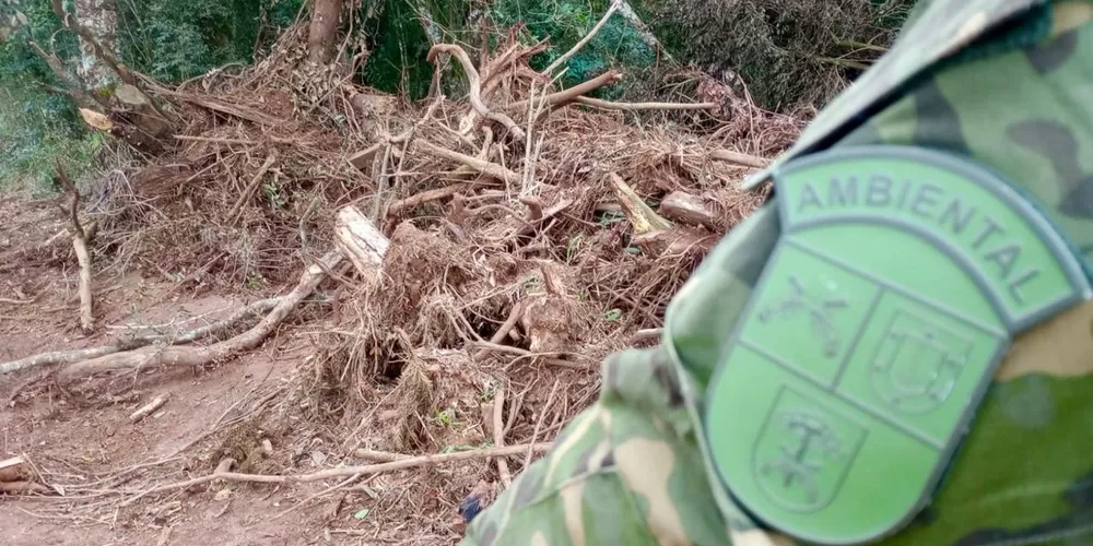 Polícia realiza verificação no local
