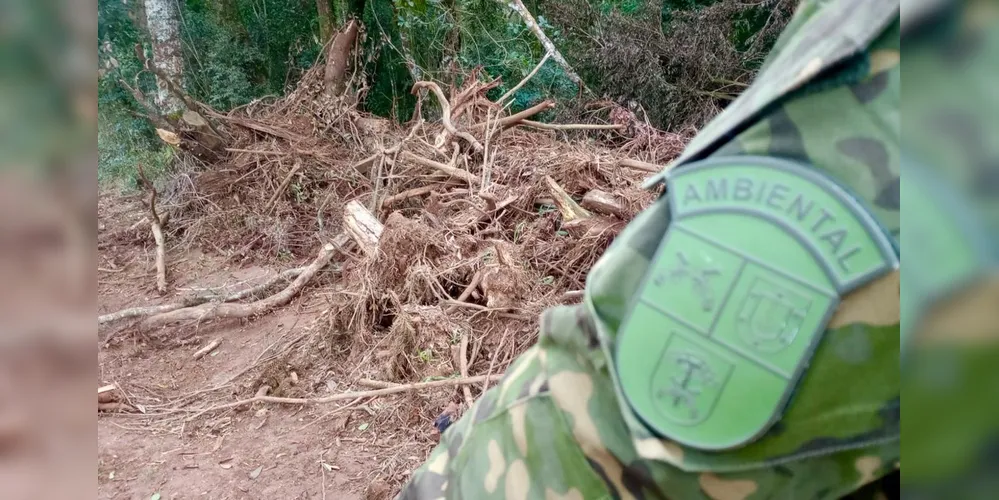 Polícia realiza verificação no local