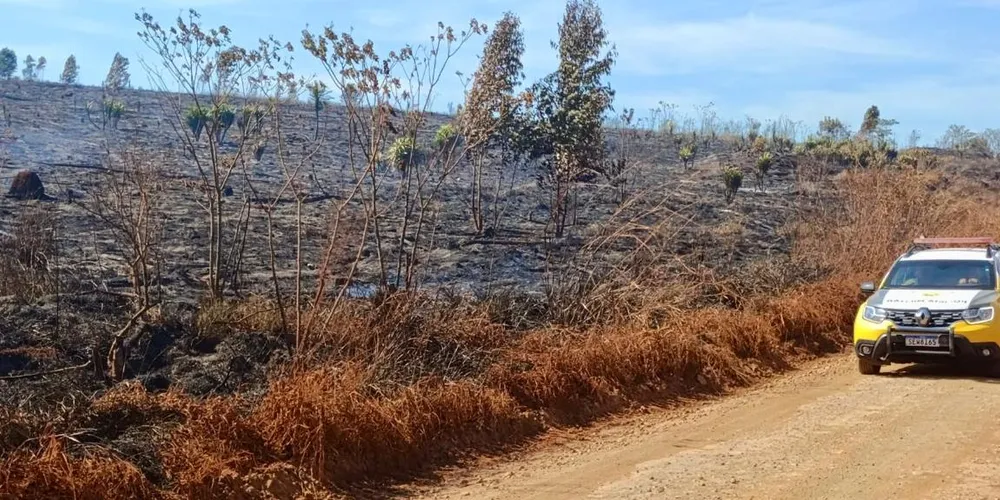 Polícia Militar Ambiental foi acionada para a ocorrência