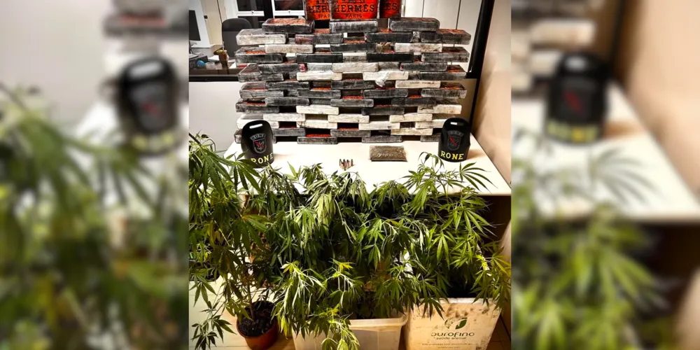 Drogas foram apreendidas, entre elas cocaína e maconha