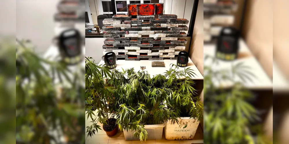 Drogas foram apreendidas, entre elas cocaína e maconha