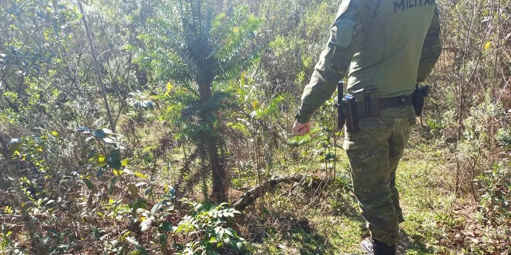 PM Ambiental durante ação