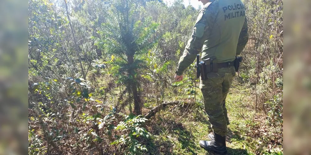 PM Ambiental durante ação