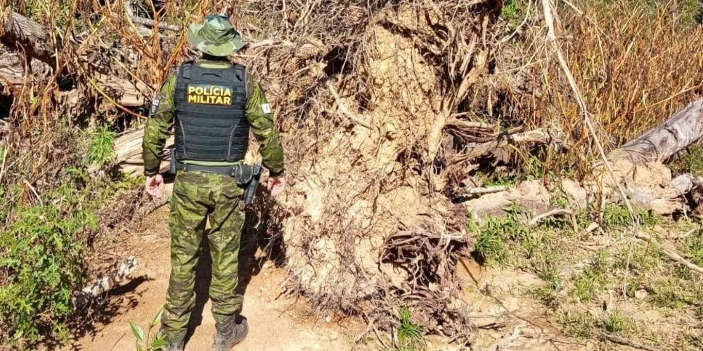 PM ambiental durante ação contra crimes ambientais