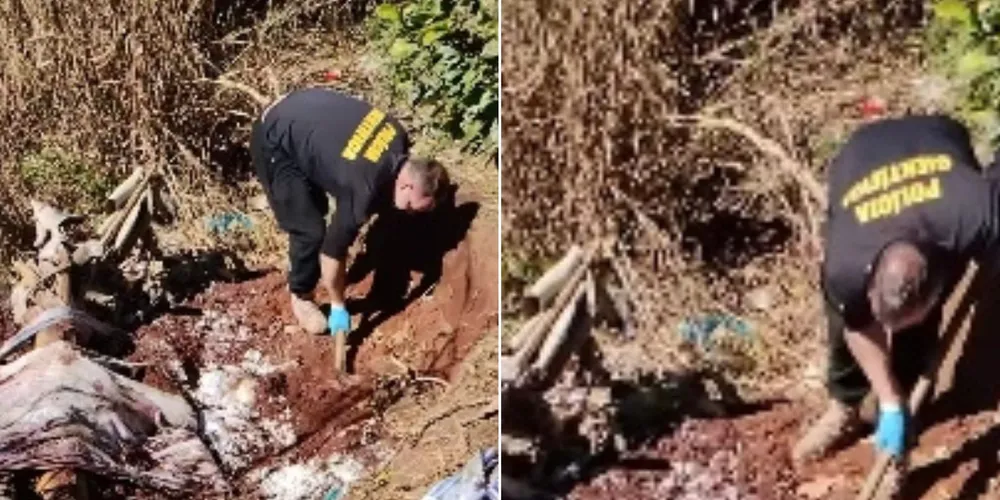 Equipe avistou parte da terra mexida, com troncos e folhas de bananeira em cima