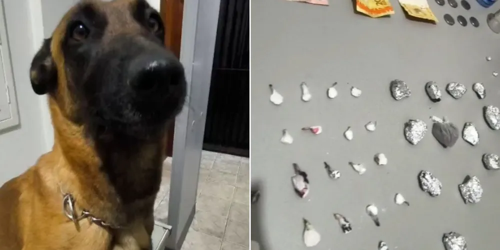 Suspeito confessou aos policiais que guardava mais drogas em sua residência