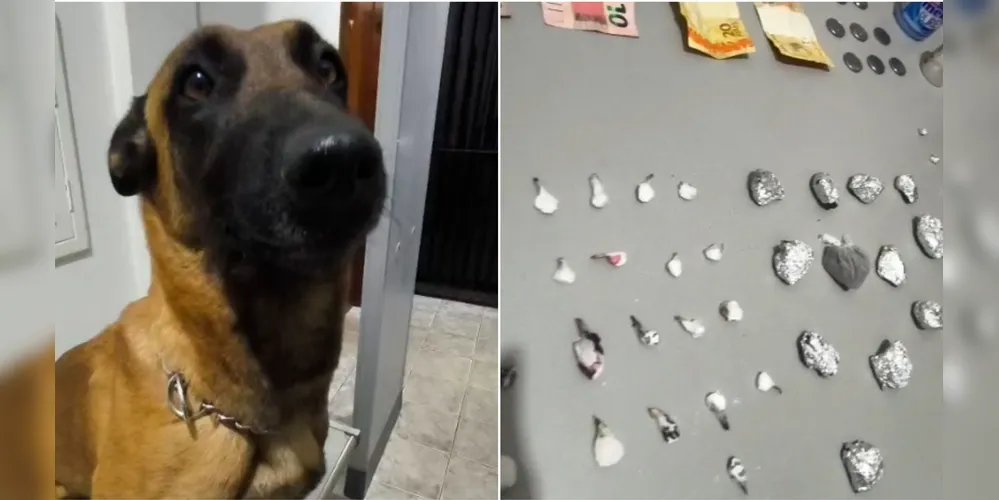 Suspeito confessou aos policiais que guardava mais drogas em sua residência