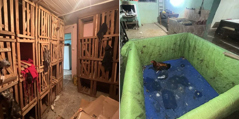 Grupo foi detido por agentes da GCM e da Polícia Militar Ambiental