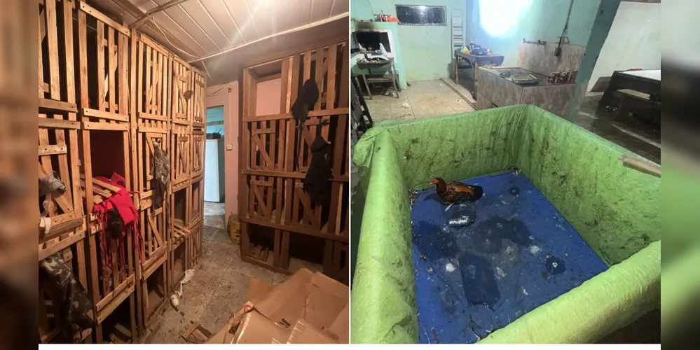 Grupo foi detido por agentes da GCM e da Polícia Militar Ambiental