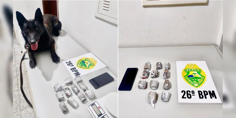 Cão de treinamento ajudou na identificação da droga
