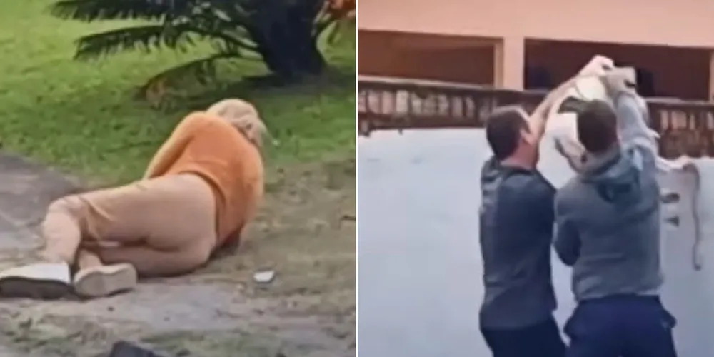 Um bombeiro e o filho da vítima recolheram o animal para o interior do terreno de onde havia fugido