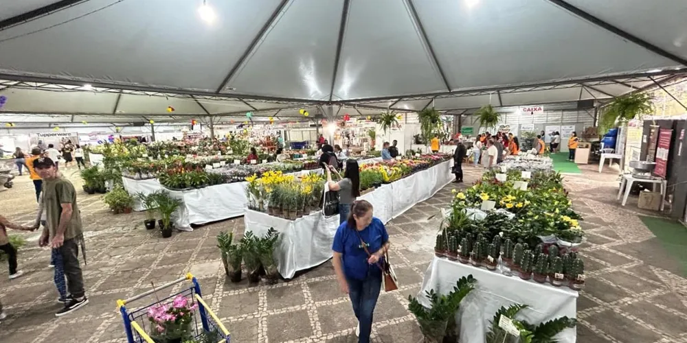 14ª Expo&Flor - Exposição de Flores de Holambra acontece entre 5 e 15 de setembro.
