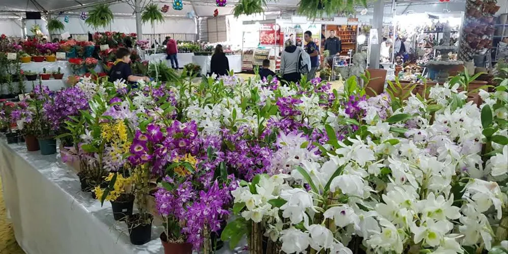 14ª Expo&Flor acontece entre os dias 5 e 15 de setembro, no Parque Ambiental de Ponta Grossa