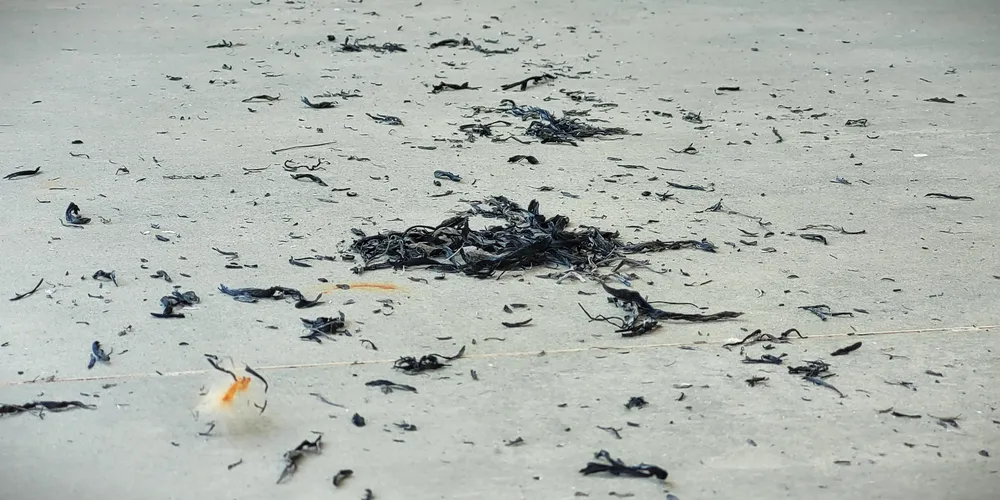 Estação é conhecida como a mais seca do ano