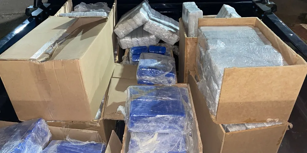 Abordagem constatou 236,2kg de maconha em carga de veículo.