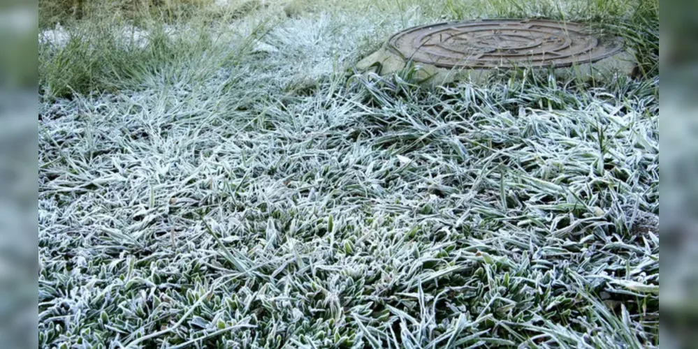 As baixas temperaturas atingiram cultivos em diferentes fases de desenvolvimento