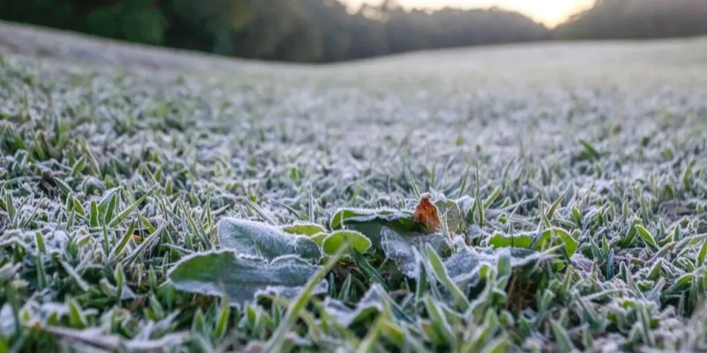 Massa de ar frio derrubou as temperaturas em diversas cidades do estado
