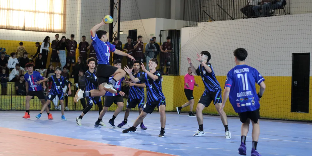 Time de Handebol de Palmeira