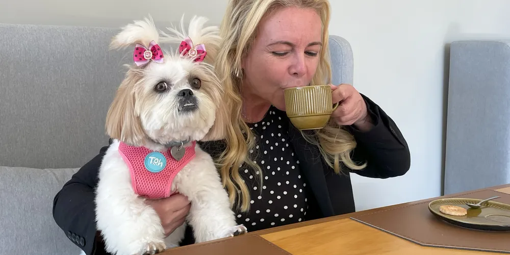 Além de abraçar boas causas, o Cione Café se destaca como um espaço pensado para quem valoriza momentos gostosos ao longo do dia
