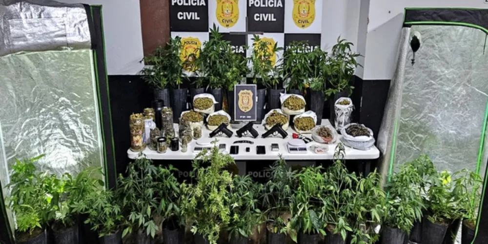 A Operação Hervachips foi deflagrada nessa terça-feira