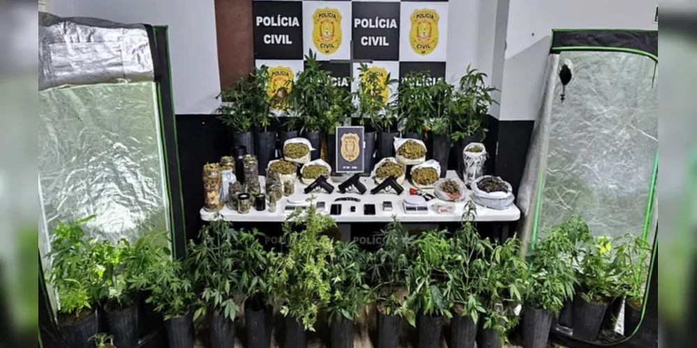 A Operação Hervachips foi deflagrada nessa terça-feira