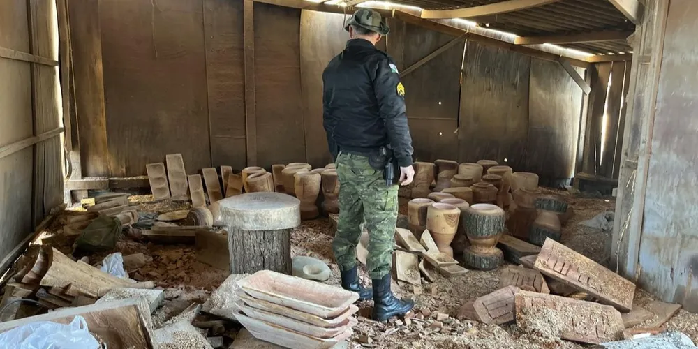 Operação foi realizada após uma denúncia de possível crime ambiental