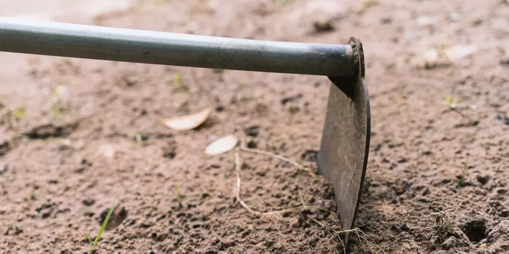 O homem foi preso após confessar o crime