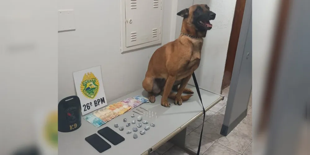 As drogas foram encontradas sob um tronco