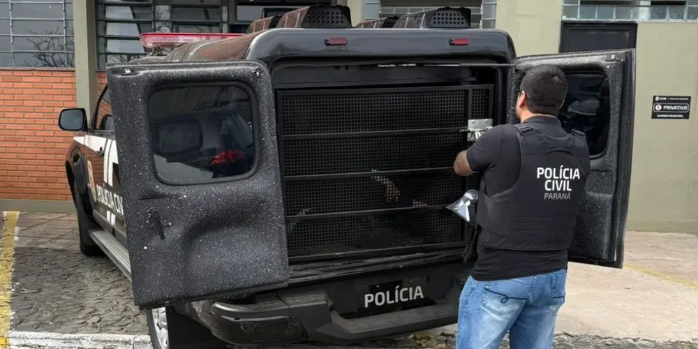 Prisão foi cumprida em uma sala comercial, onde ele desenvolvia suas atividades ilícitas