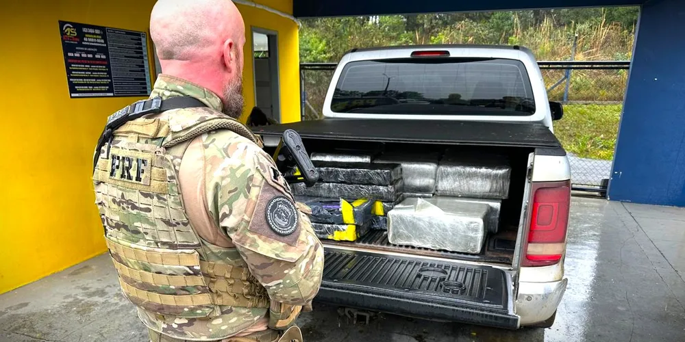 Cerca de 355 quilos de maconha foram apreendidos