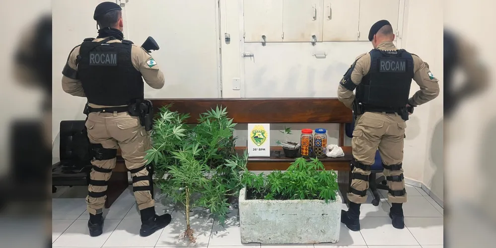 PM's apreenderam os pés de maconha