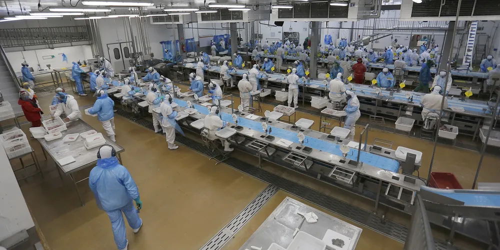 Recorde do ano: Agências do Trabalhador disponibilizam mais de 25 mil vagas de emprego