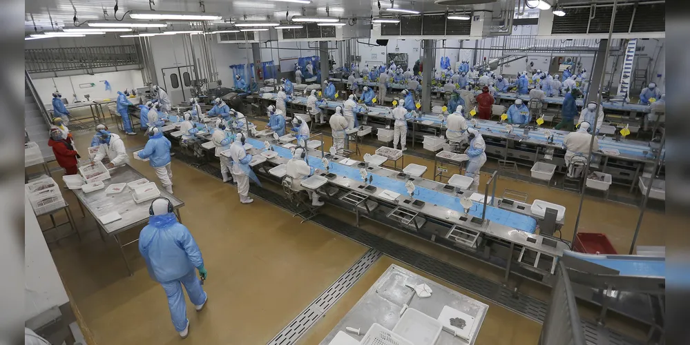 Recorde do ano: Agências do Trabalhador disponibilizam mais de 25 mil vagas de emprego