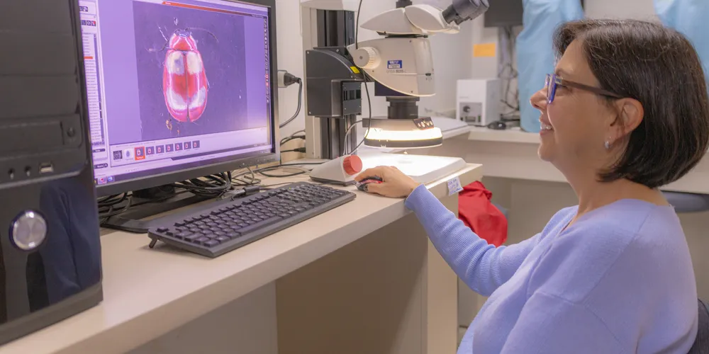 O estudo foi conduzido pela professora do Programa de Pós-graduação em Ciências Biológicas