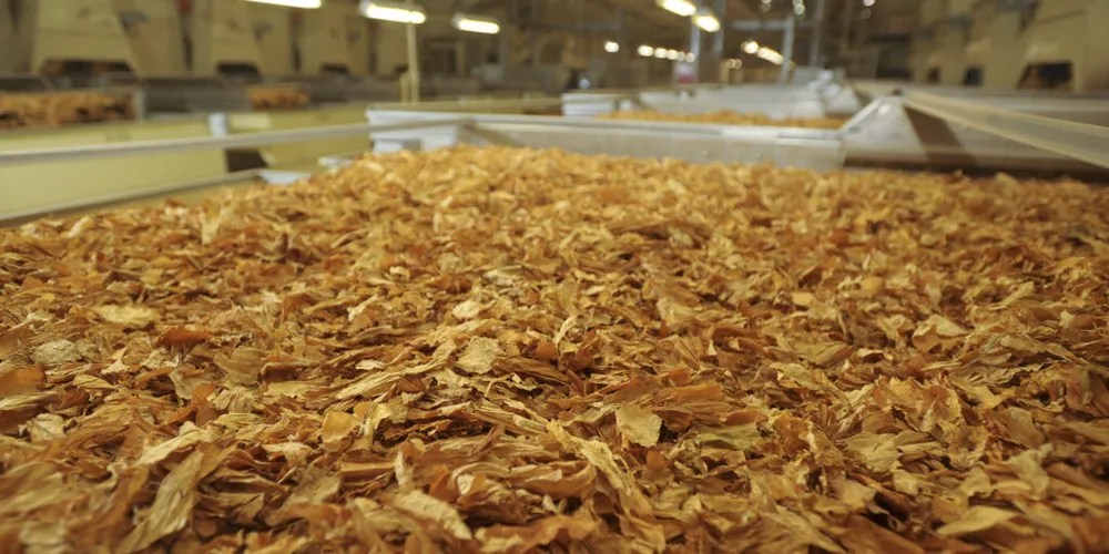 Preocupação ainda é grande; EUA representa 9% das exportações