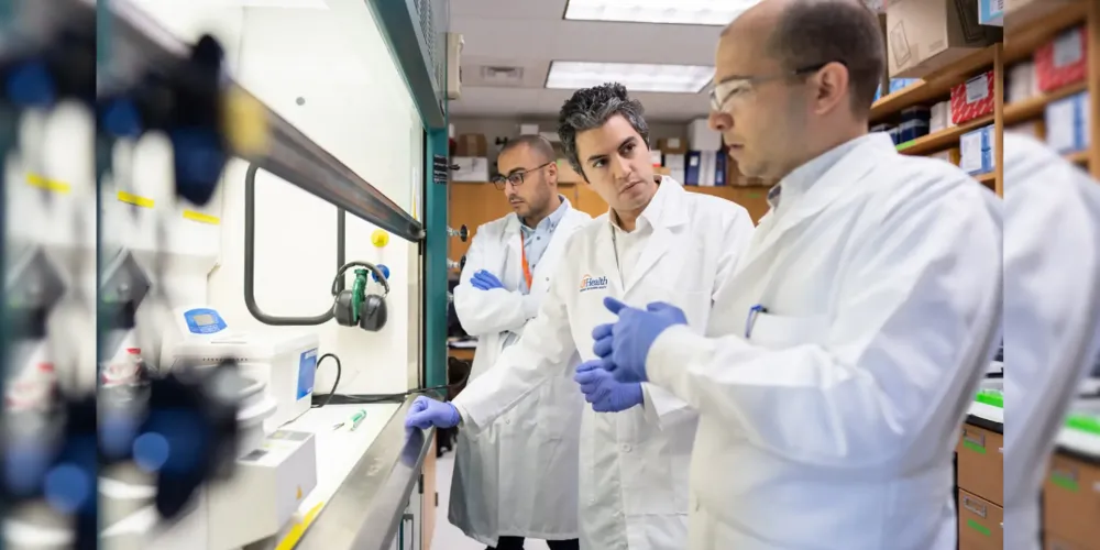 Cientistas trabalham para aprimorar formulações