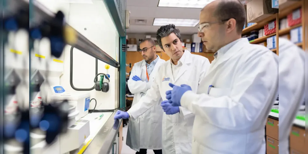 Cientistas trabalham para aprimorar formulações