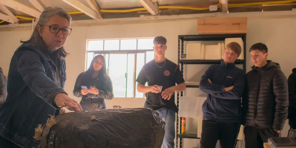 Visitas foram realizadas na última terça-feira (12)