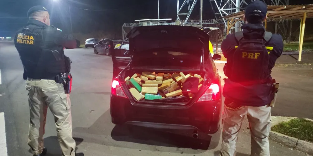 Ação conjunta realizou a apreensão