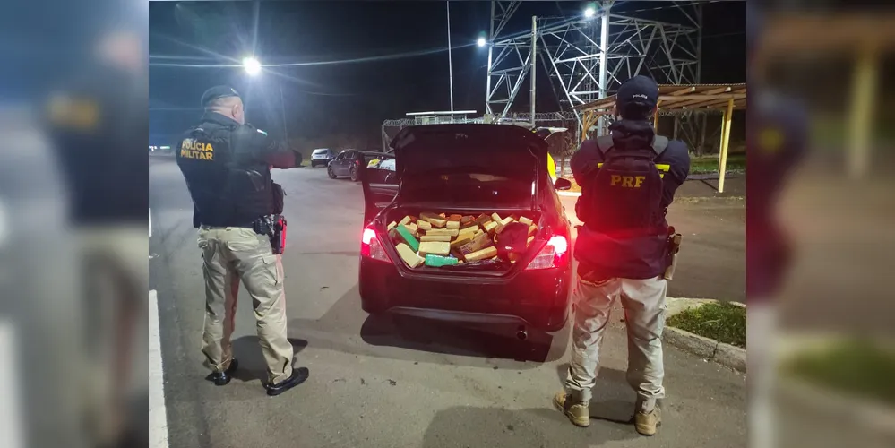Ação conjunta realizou a apreensão