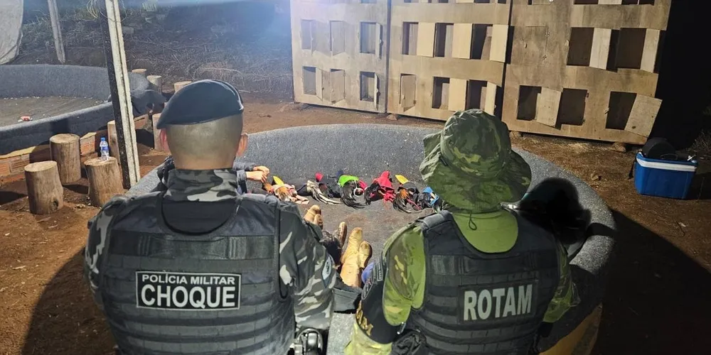 Rinha foi desmantelada nesse sábado, no interior do Paraná