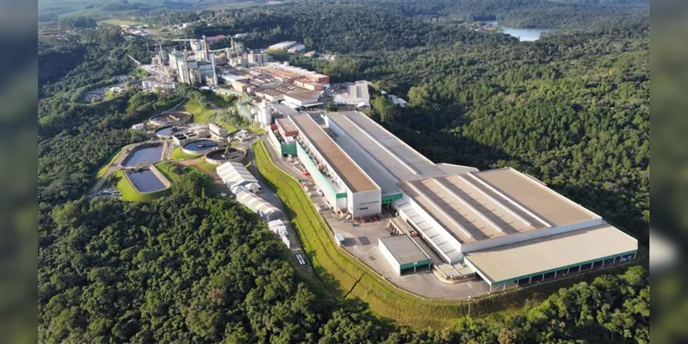 Todo o tamanho da Klabin na região faz com que o Paraná represente a maior fatia das operações da empresa no país