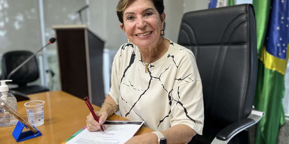 Prefeita de Ponta Grossa, Elizabeth Schmidt