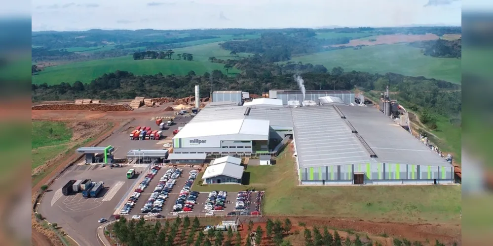 A Millpar atua com produtos derivados de madeira
