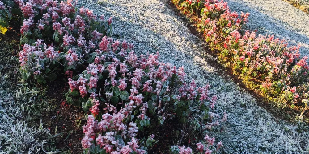 Internautas compartilharam diversas fotos nas redes sociais, para registrar o momento.