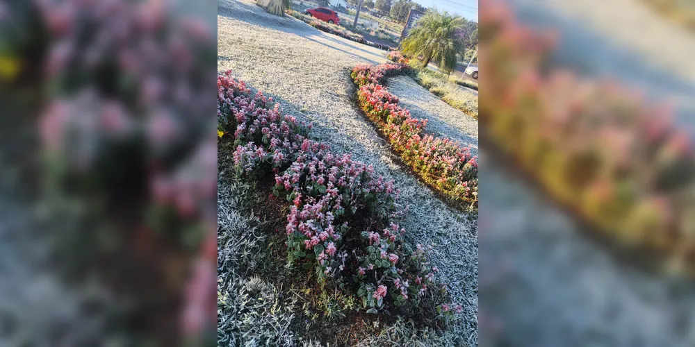 Internautas compartilharam diversas fotos nas redes sociais, para registrar o momento.