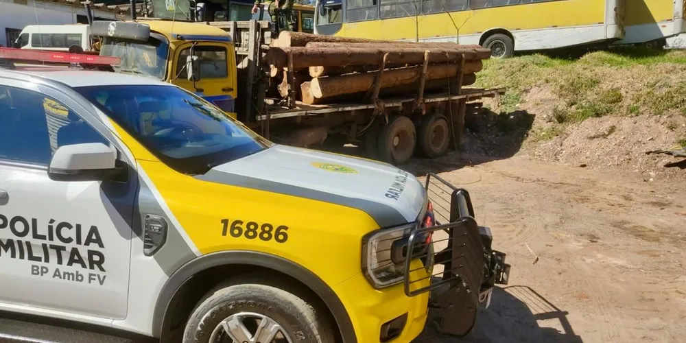 Foram apreendidas aproximadamente 7 metros cúbicos de araucária