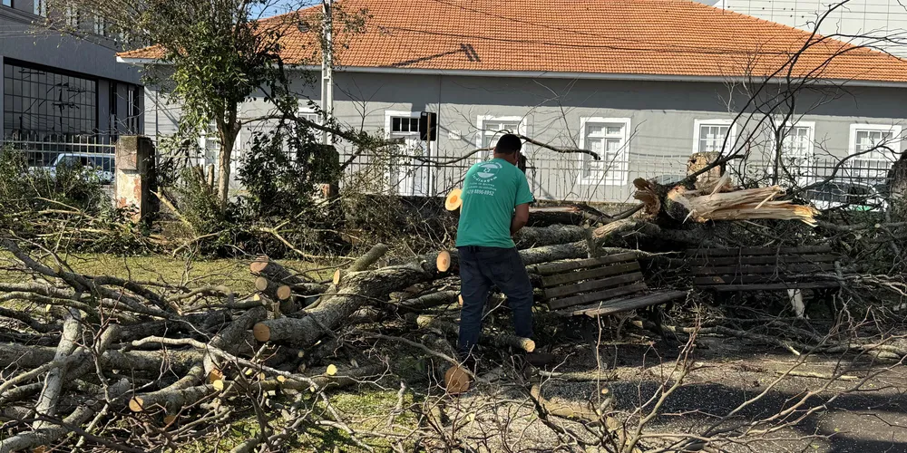 Atualmente, as árvores presentes no entorno têm causado diversos problemas